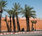 0249_Maroko_2013