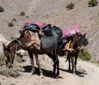 0461_Maroko_2013