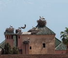 0762_Maroko_2013