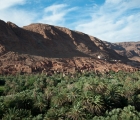 1117_Maroko_2013