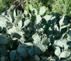1126_Maroko_2013