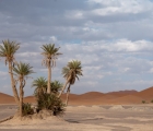 1219_Maroko_2013