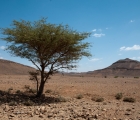 1317_Maroko_2013