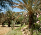 1325_Maroko_2013