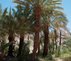 1328_Maroko_2013