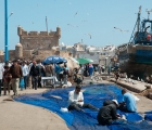 1577_Maroko_2013