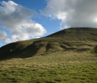 DSC_8637