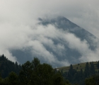 DSC_8630