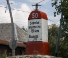 DSC_9132