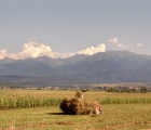 Rumunia-2008_Fagarasze_20