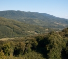 Widok