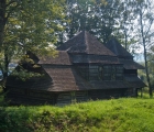 Liskowate