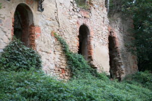 Siedlimowice. Ruiny pałacu Kornów z XVI wieku.